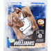 Deron Williams (Brooklyn Nets)