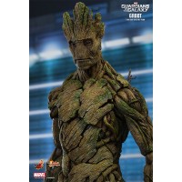 Groot 1/6 - Guardians of the Galaxy - Hot Toys
