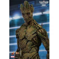 Groot 1/6 - Guardians of the Galaxy - Hot Toys