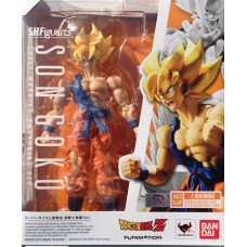 Son Goku Super Warrior Awakening Ver