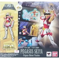 Seiya de Pegasus V1 DD Panoramation