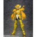 Dohko de Libra D.D.Panoramation