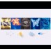 Pegasus & Sagitario Set - Limited Edition Pegasus & Sagitario Set - Limited Edition