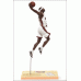 LeBron James (Miami Heat) LeBron James (Miami Heat)
