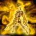 Seiya de Sagitário EX - Bandai Premium Tamashii Web Exclusive Seiya de Sagitário EX - Bandai Premium Tamashii Web Exclusive