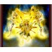 Dohko de Libra EX - Soul Of Gold Revival