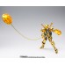 Shiryu de LIbra EX - Bandai Limited Edtion Shiryu de LIbra EX - Bandai Limited Edtion